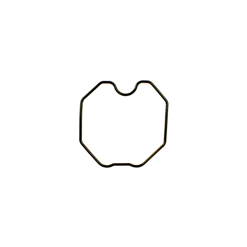137. 557082 World Formula Float Bowl Gasket
