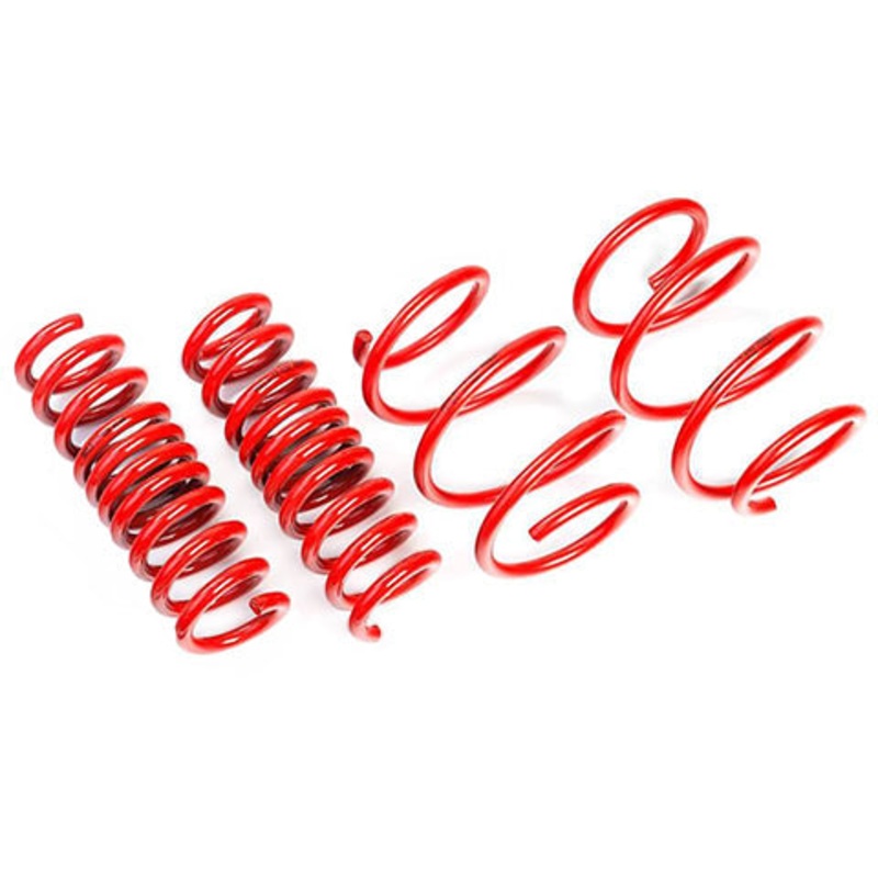 AST Lowering Springs | 2017-2023 Tesla Model 3 SR RWD/SR Plus RWD/Mid Range RWD (ASTLS-19-310)