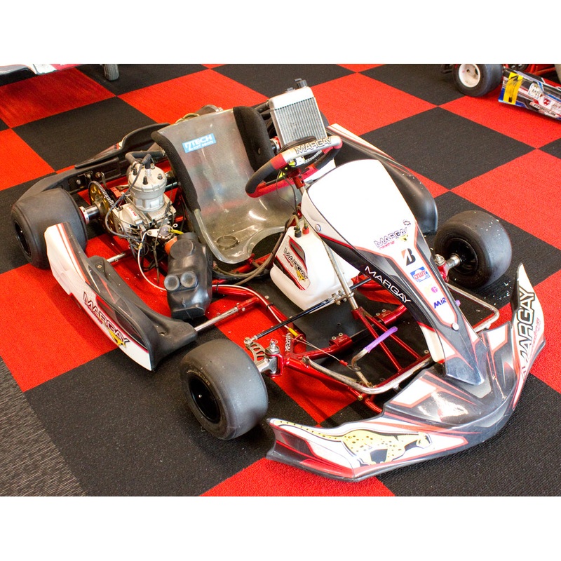 Used Margay Full Sized Kart with IAME Stock Leopard Engine