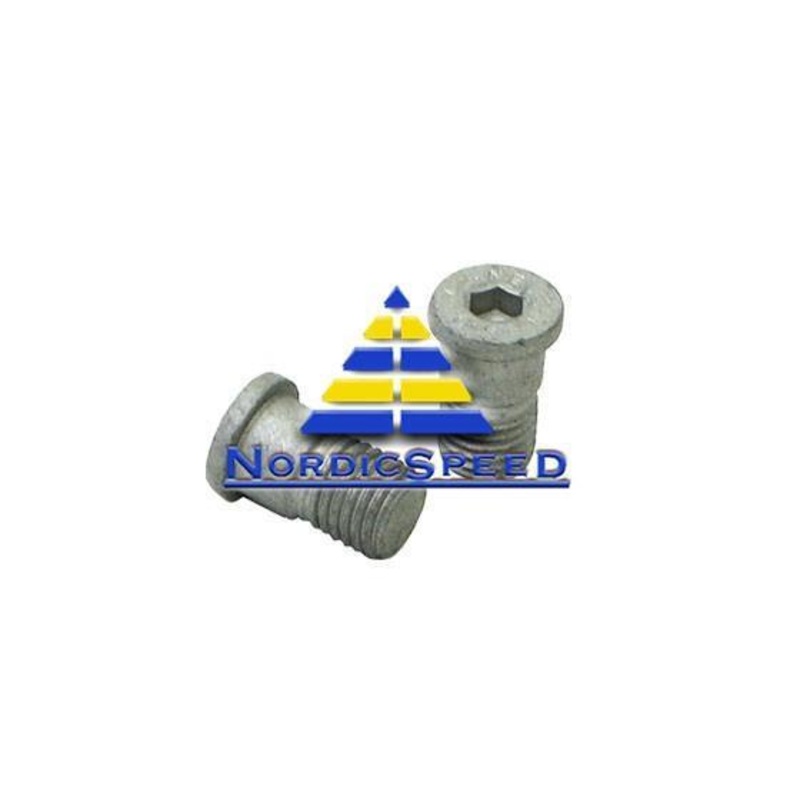 Brake Rotor Screw OEM SAAB