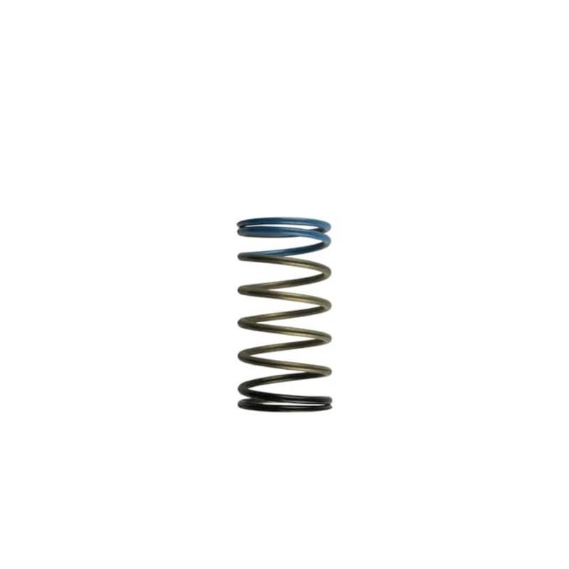 Turbosmart WG50/60 10PSI MID SPRG-BLK/BLU