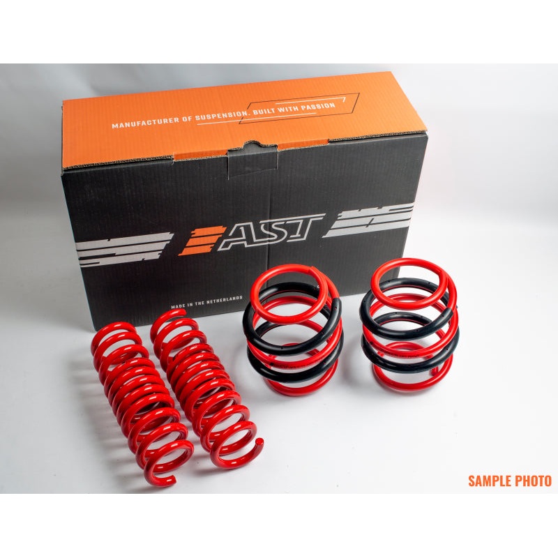 AST Suspension 2018+ Tesla Model 3 Long Range AWD Lowering Springs 40mm/40mm