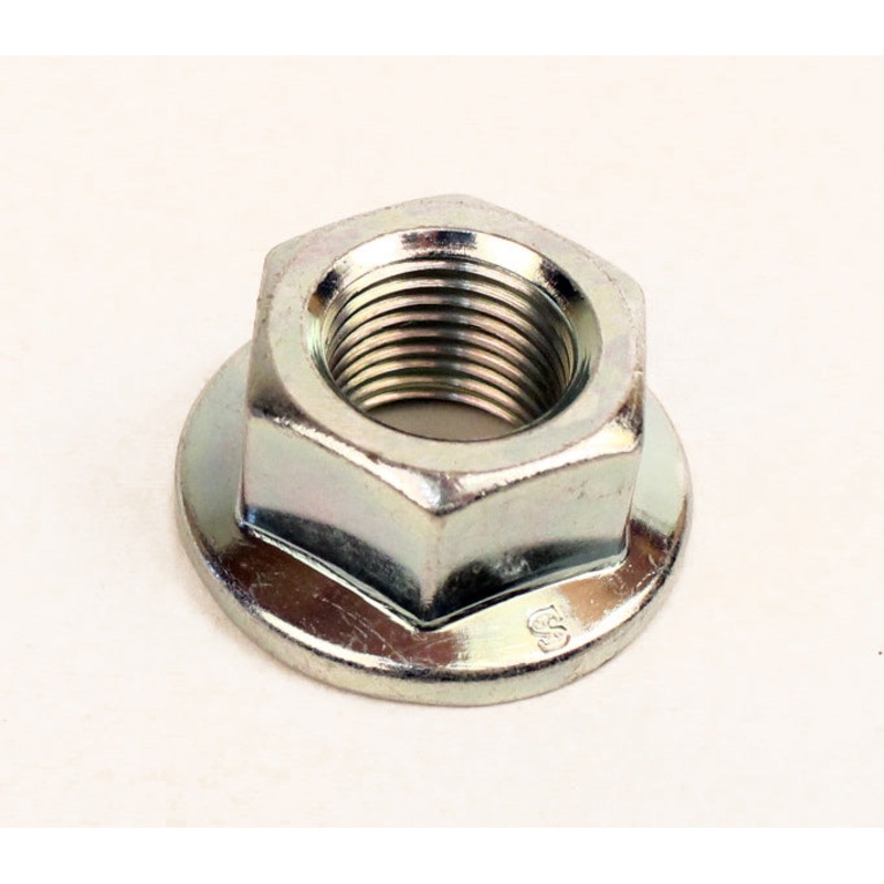 332. 591988 Briggs Animal, LO206 Flywheel Nut